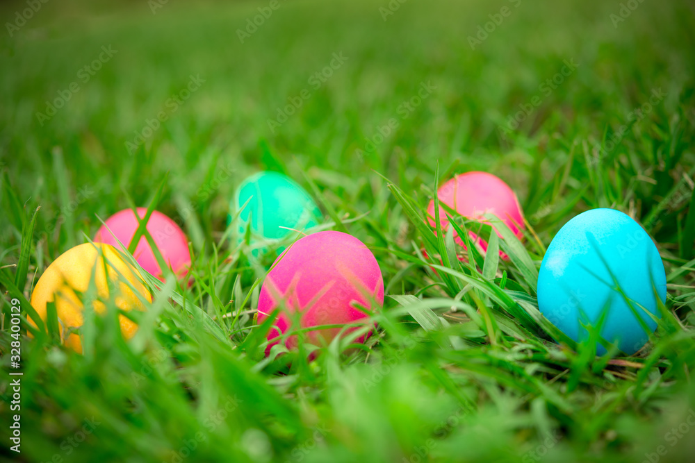Easter eggs on fresh green grass. Egg hunt. Happy Easter. Spring time