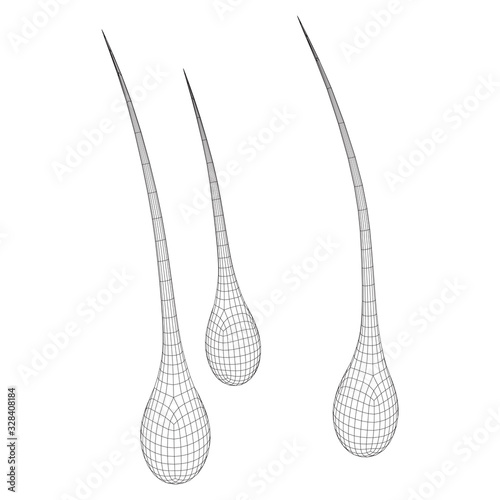 Hair follicle protect care cosmetic technology concept. Hair root structure repair shampoo salon treatment. Anatomy strands medicine trichology. Wireframe low poly mesh vector illustration