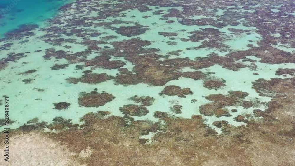 A bird's eye view shows healthy corals growing on a shallow reef flat in Raja Ampat, Indonesia. This beautiful, tropical region is a hotspot for high marine biodiversity, scuba diving and snorkeling. A bird's eye view shows healthy corals growing on a shallow reef flat in Raja Ampat, Indonesia. This beautiful, tropical region is a hotspot for high marine biodiversity, scuba diving and snorkeling.