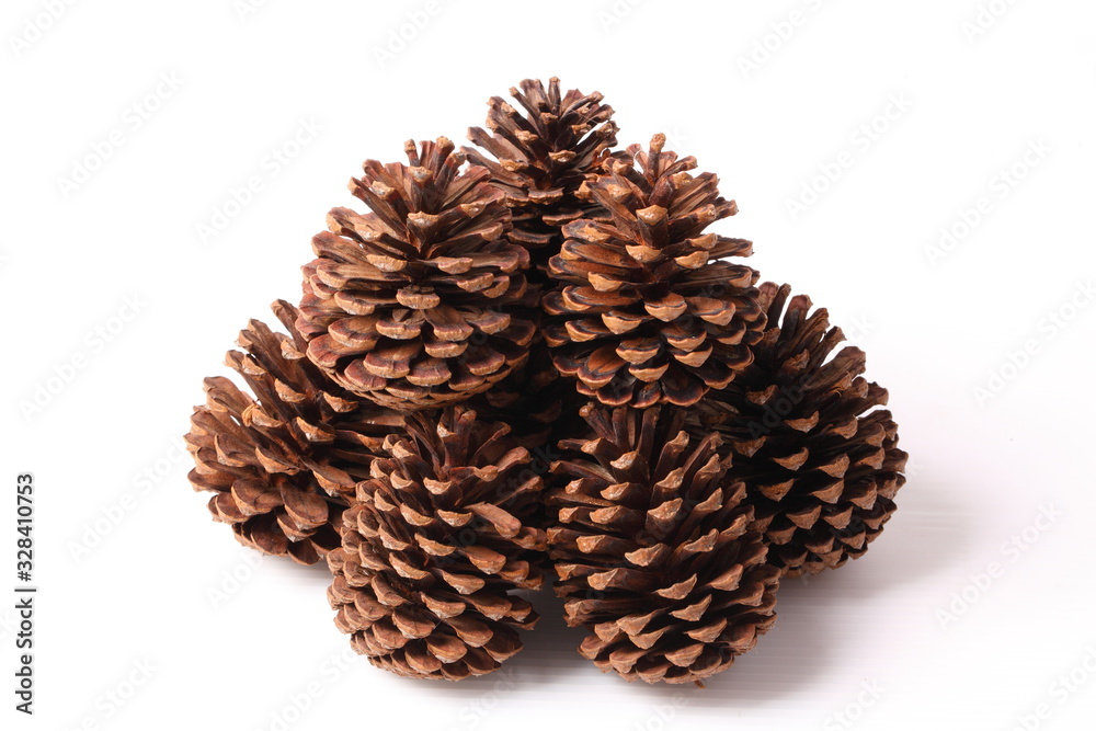 Flowers of pine on white background Flowers of pine on white background