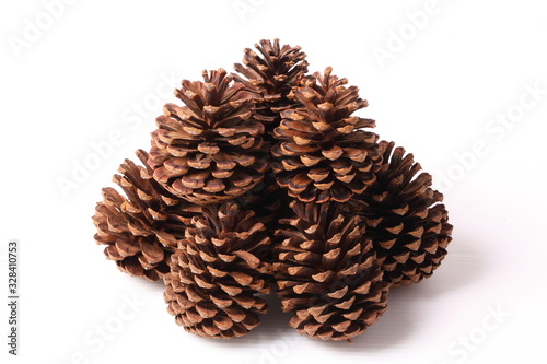 Flowers of pine on white background