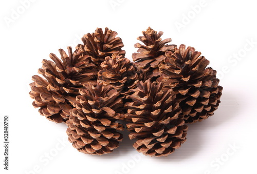 Flowers of pine on white background