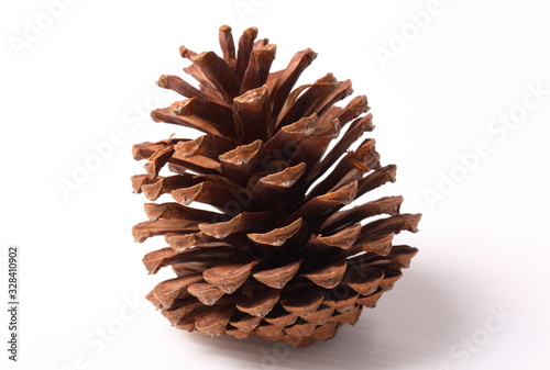 Flowers of pine on white background