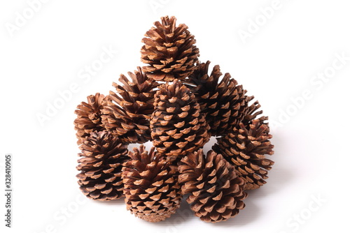Flowers of pine on white background