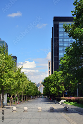 Sidewalk trees and buildings of Century Avenue, Pudong New Area, Shanghai