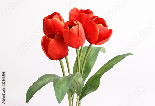 Red tulip with leave on a white background 