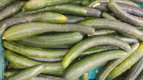 Fresh cucumbers for sale