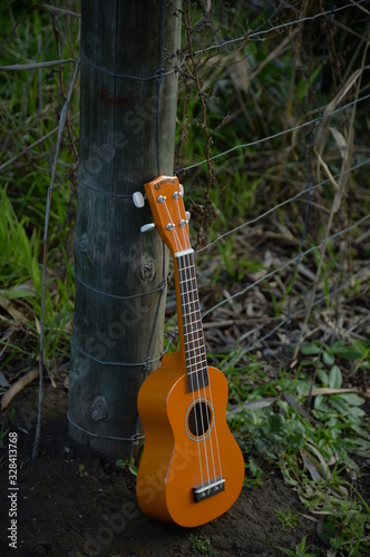 Ukulele in garden