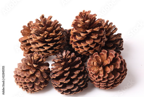 Flowers of pine on white background