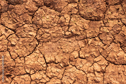 Texture on sun-cracked dirt floor