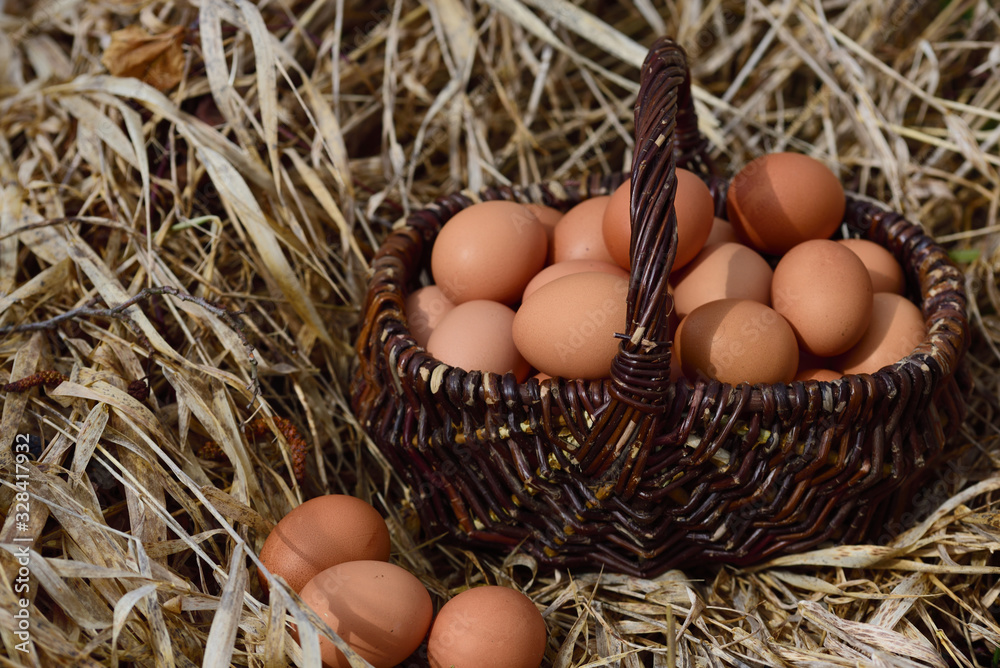 An old wicker basket, full of fresh eggs, stands on old dry reed in nature An old wicker basket, full of fresh eggs, stands on old dry reed in nature