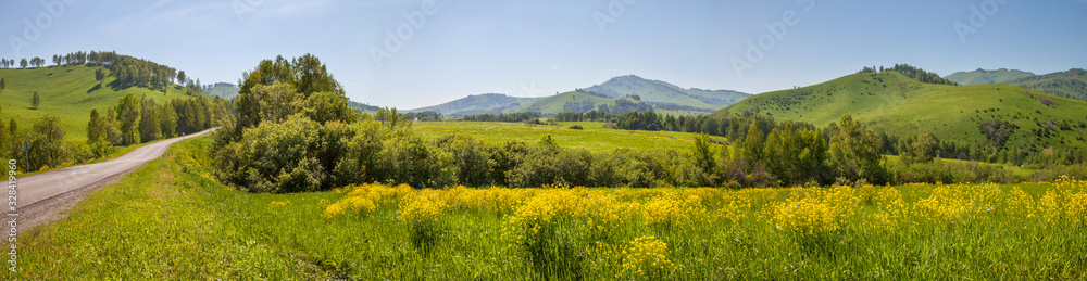 Panoramic view of a meadow blooming with yellow flowers. Country road. Green hills and blue sky, daylight. Spring background.
