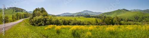 Panoramic view of a meadow blooming with yellow flowers. Country road. Green hills and blue sky  daylight. Spring background.