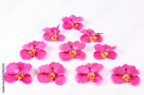 Beautiful purple orchid on a white background