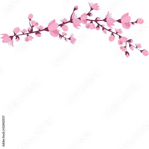 Sakura branch or cherry blossoms on white background  vector illustration.