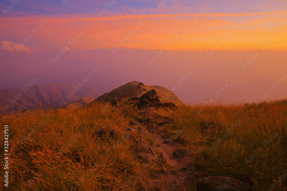 Mountain meadow in the evening. The sky is yellow-orange.