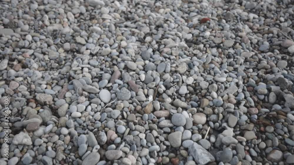 Mixed colors and irregular shaped beach pebbles - closeup shot Mixed colors and irregular shaped beach pebbles - closeup shot