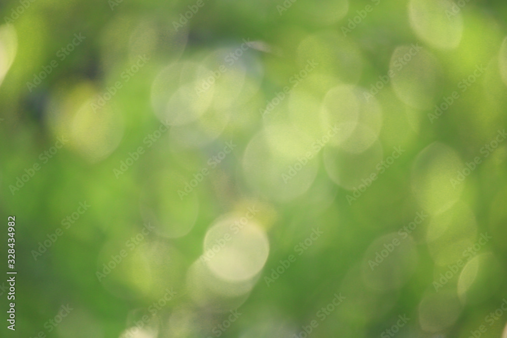 Fototapeta premium Bokeh green nature, Subtle background in abstract style for graphic design