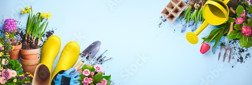 Gardening tools and plants on blue background