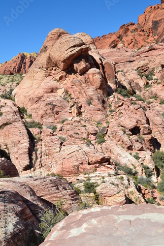 Red Rock Canyon Las Vegas