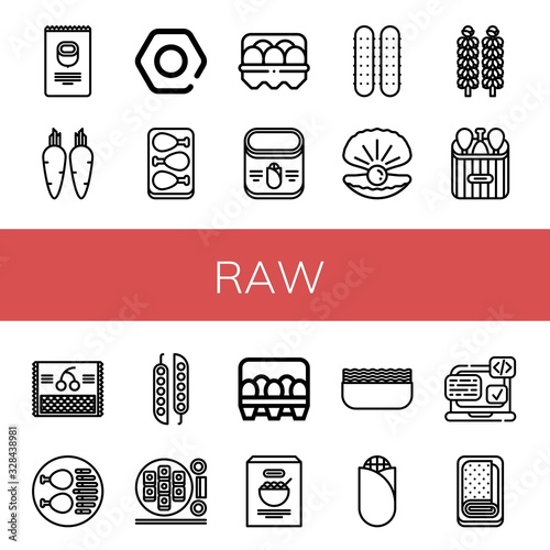 raw simple icons set