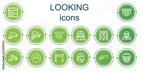 Editable 14 looking icons for web and mobile