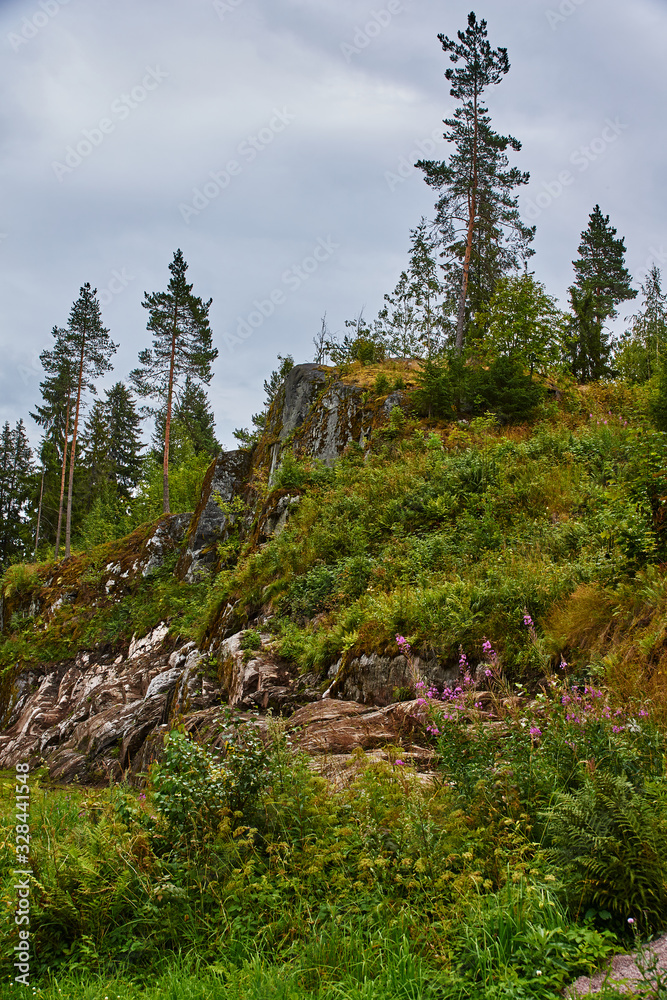Obraz premium The nature of Karelia.Typical Karelian landscape in the vicinity of Sortavala: a forest of conifers, traces of volcanic lava, rocks and volcanic rocks. Russia, Karelia, Sortavala.