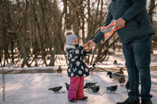a man in jeans and a blue jacket gives bread to a little girl to feed pigeons and ducks