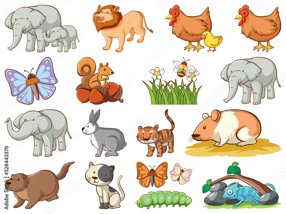 Obraz premium Large set of wildlife with many types of animals and insects