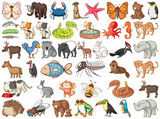 Large set of wildlife with many types of animals and insects