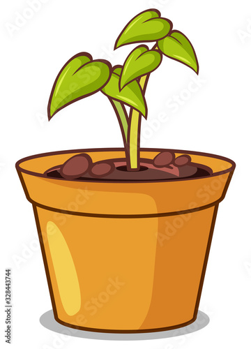 Potted plant with small plant on white background