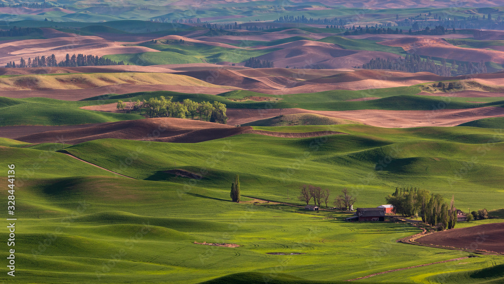 The Rolling Hills of the Palouse