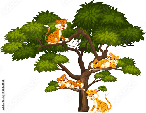 Four tigers sitting on the big tree