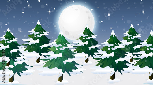 Scene with snow on pine trees