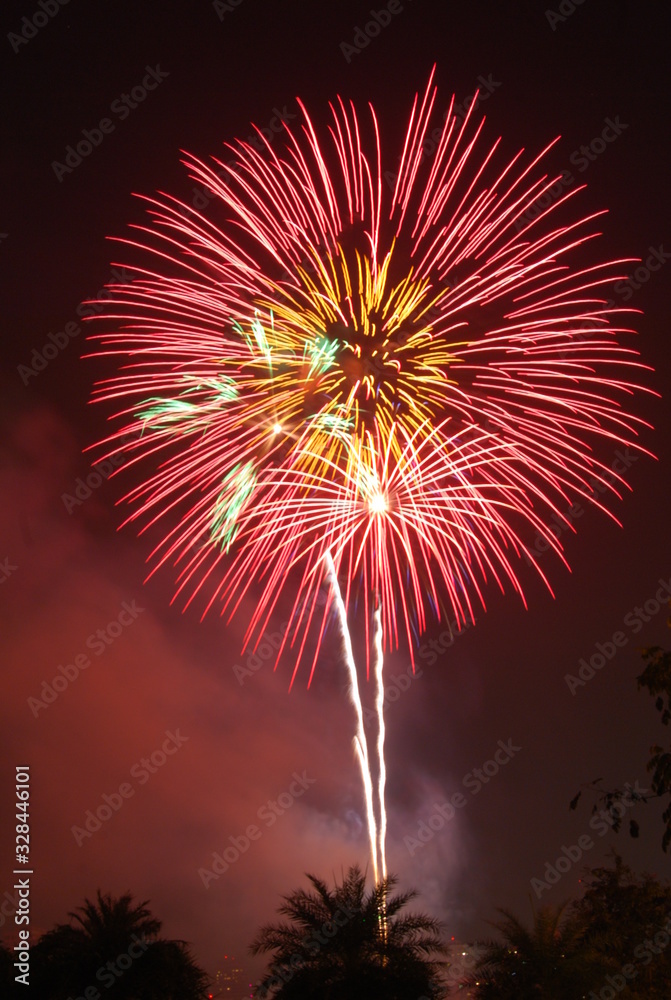 Red and yellow fireworks mixed in purple. Single firework. Red and yellow fireworks mixed in purple. Single firework.