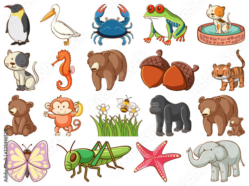 Large set of wildlife with many types of animals