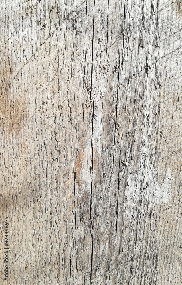 Fototapeta premium The texture of the old wooden board is light gray. vertical background