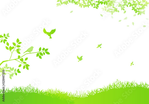 野原と飛ぶ鳥と木漏れ日