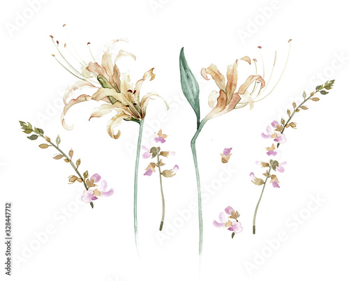 Flowers watercolor illustration.Manual composition.Big Set watercolor elements.