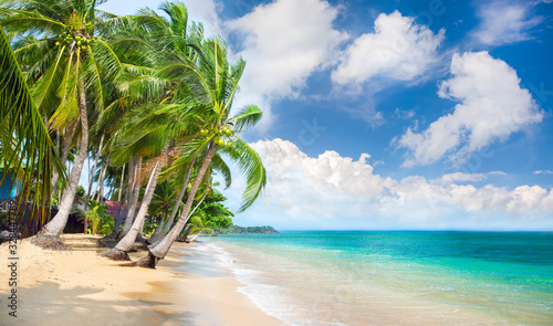beach and coconut palm trees. Koh Samui, Thailand photo