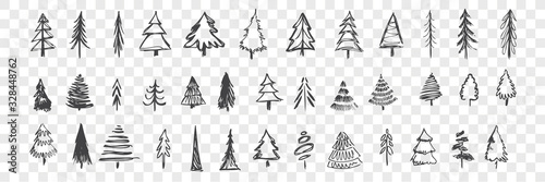 Hand drawn christmas trees set