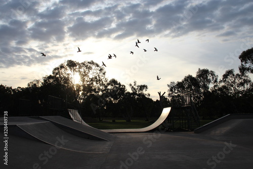 skate park halfpipe sunset