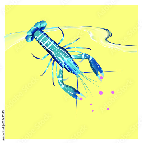 Vector illustration, crayfish.  Vector delicacy river lobster, langoustine or spiny lobster or crustacean delicacies isolated on blue background.