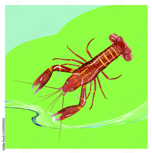Vector illustration, crayfish.  Vector delicacy river lobster, langoustine or spiny lobster or crustacean delicacies isolated on green background.