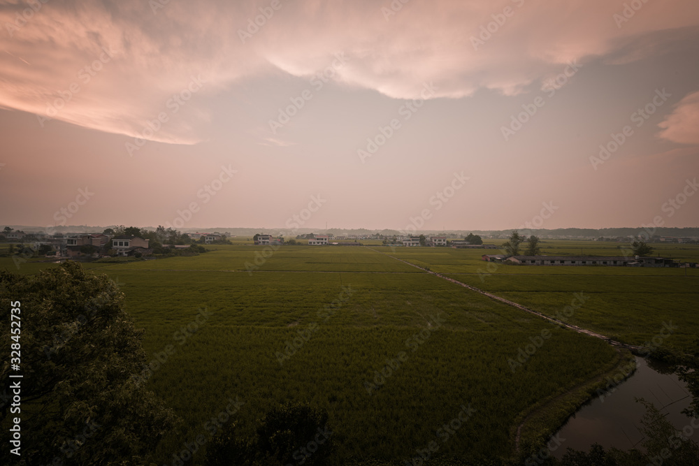Obraz premium Beautiful Chinese rural landscape, agricultural production, agricultural products, agricultural development.