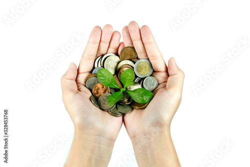 A coins with tree in hands in saving and growing money concept on a white background.