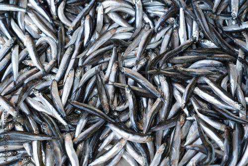 Anchovy fish for sale at market