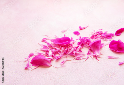 Fototapeta Naklejka Na Ścianę i Meble -  Pink peony petals