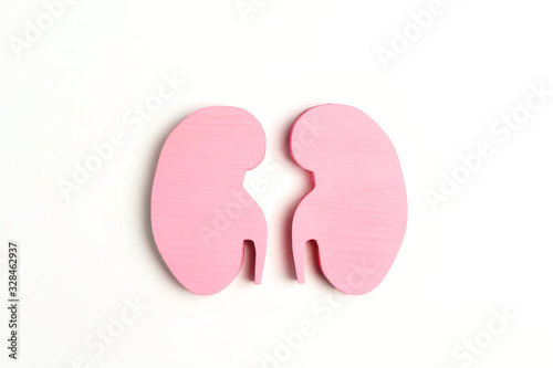 Pink human kidney symbol on white background. World Kidney Day. © WindyNight