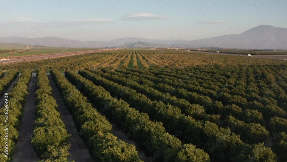Scenic Countryside View Bakersfield California